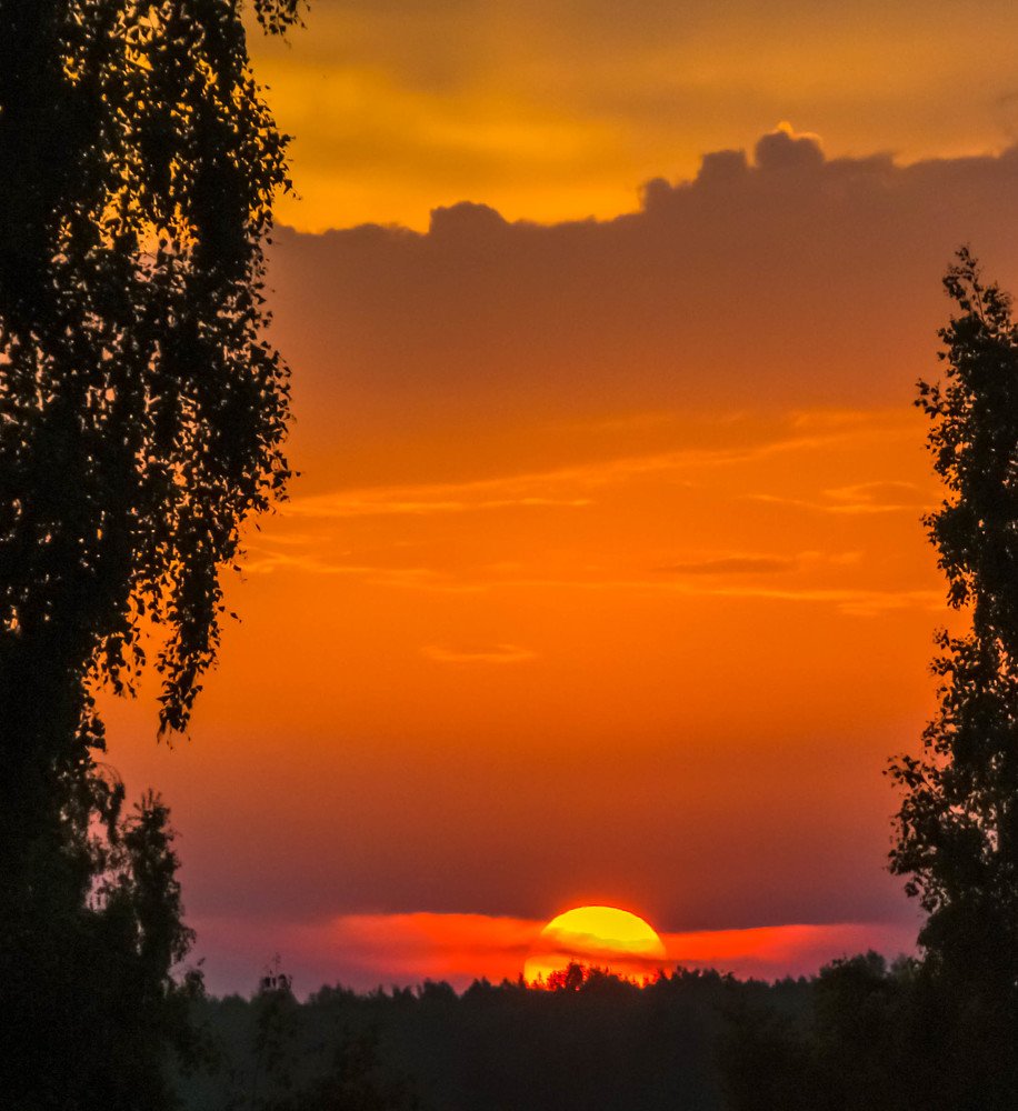 В красных тонах