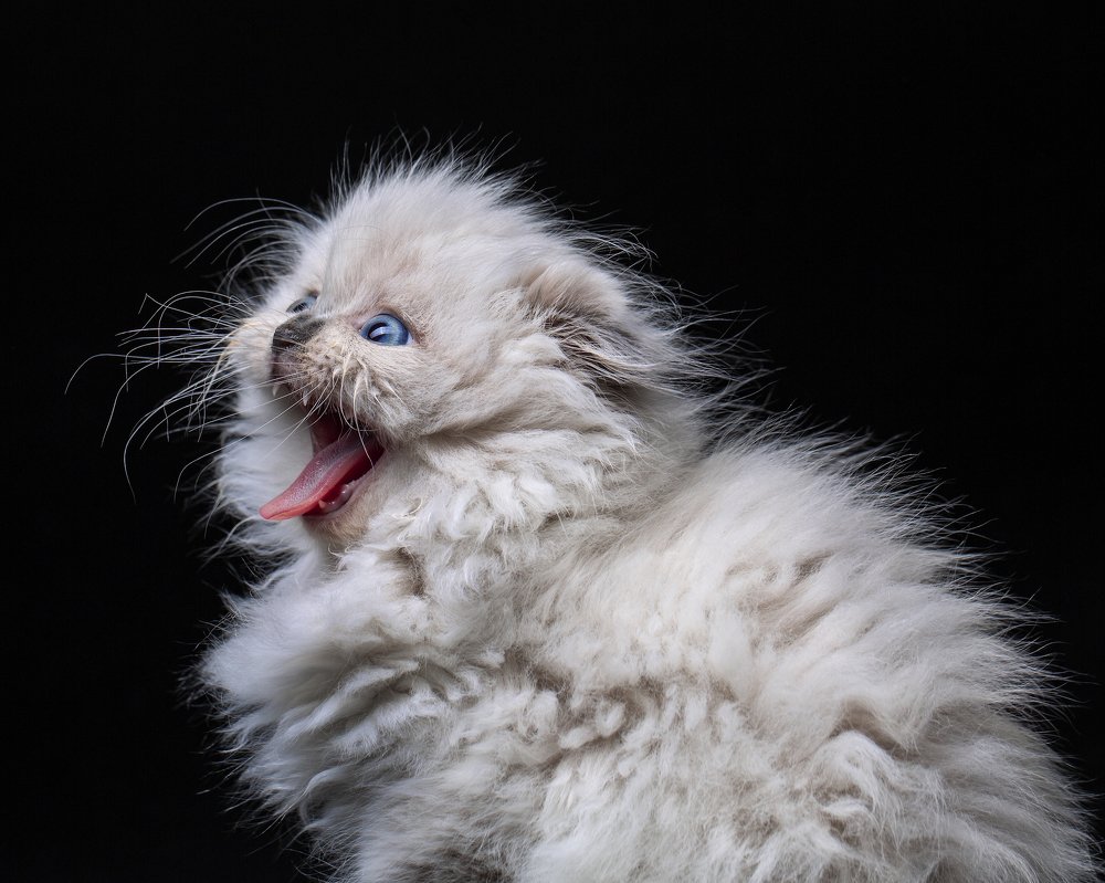 Photograph by Tимур Бадешов