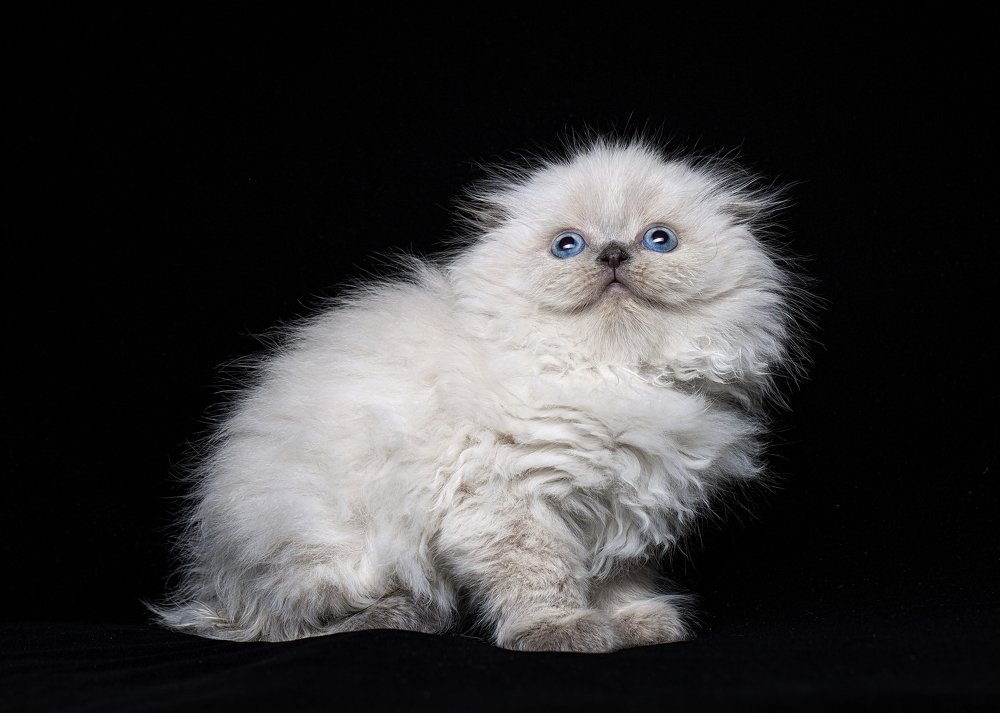 Photograph by Tимур Бадешов