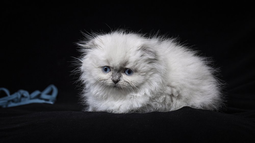 Photograph by Tимур Бадешов