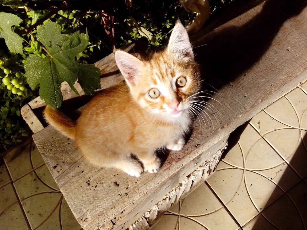 Я познаю мир. Портрет новорожденного.