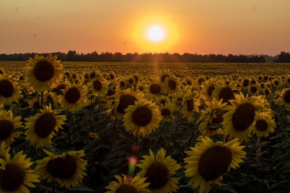 Photograph by Екатерина Андросова