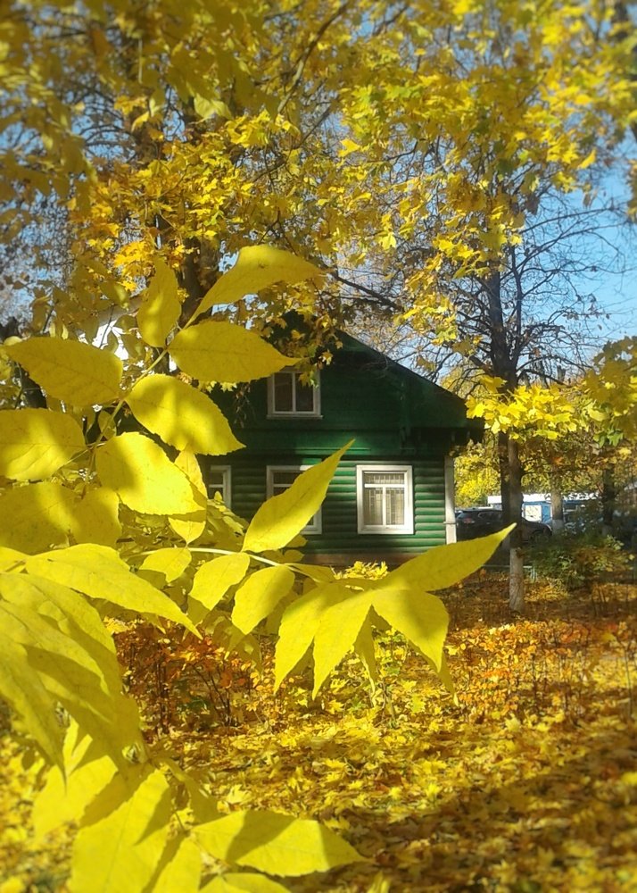 Photograph by Людмила М