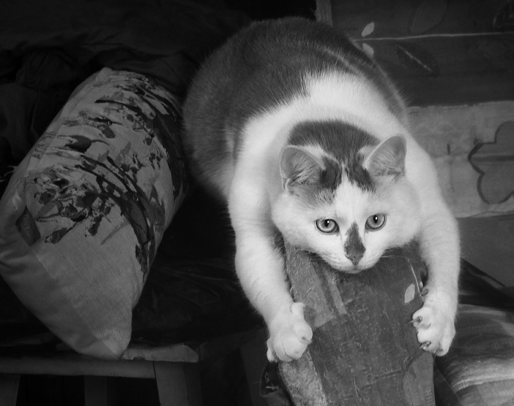 Кто раньше встал, тот и место занял.