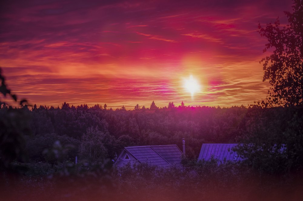 Сжигал себя закат безумием цветным