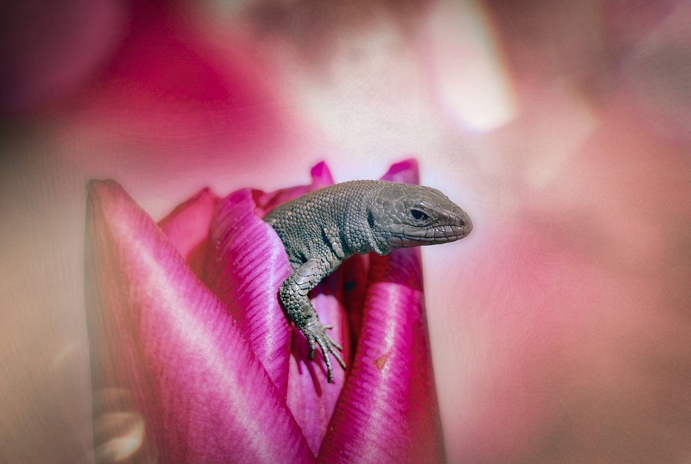 Photograph by Ekaterina Fadeeva