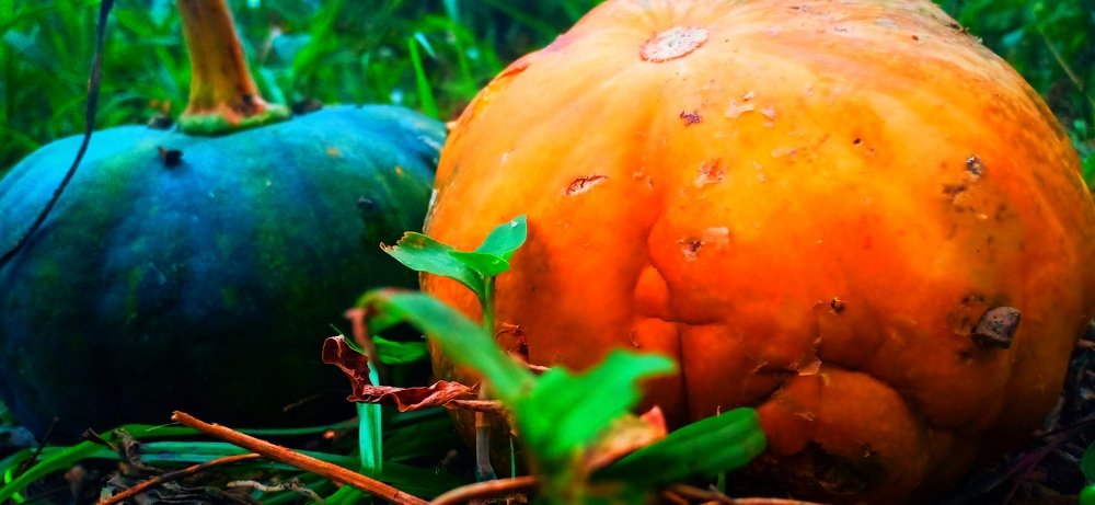 Beautiful color differences