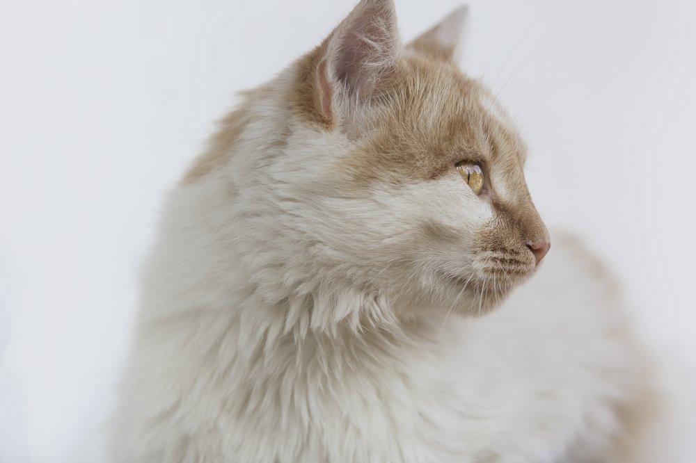 Photograph by grinelda kosmidou