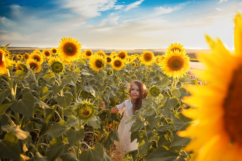 Солнышко в подсолнухах
