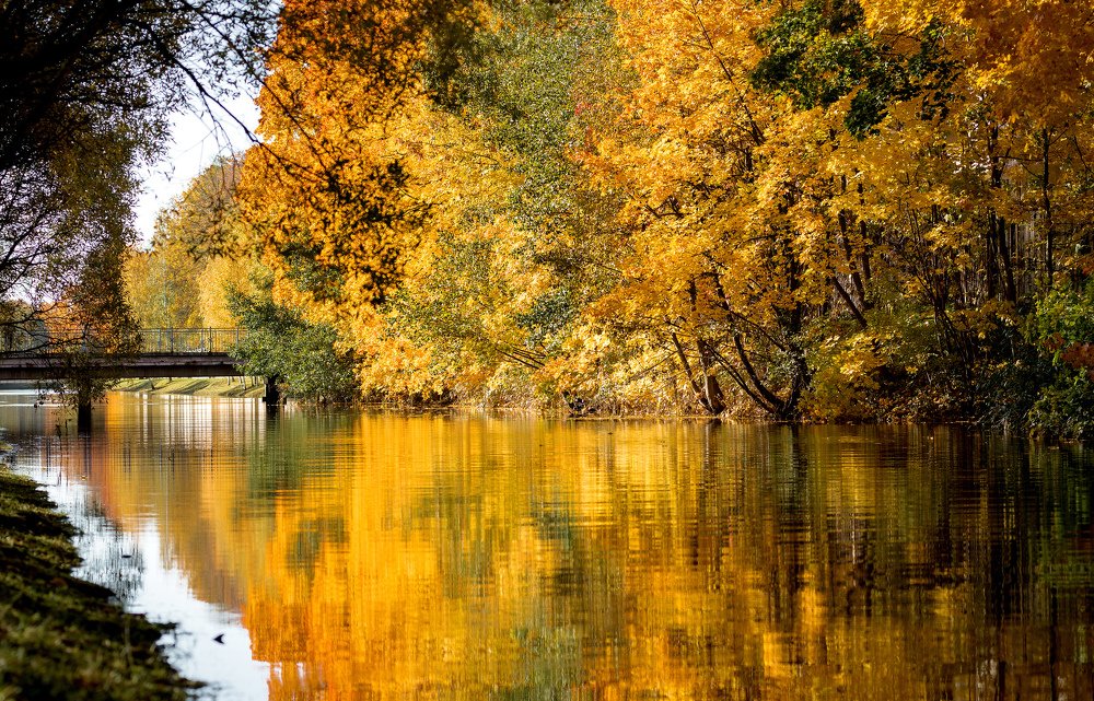 Краски осени