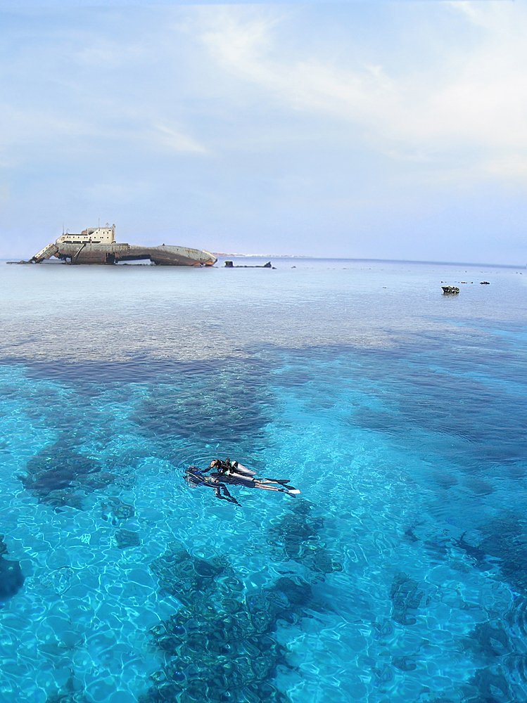 Удивительное Красное море