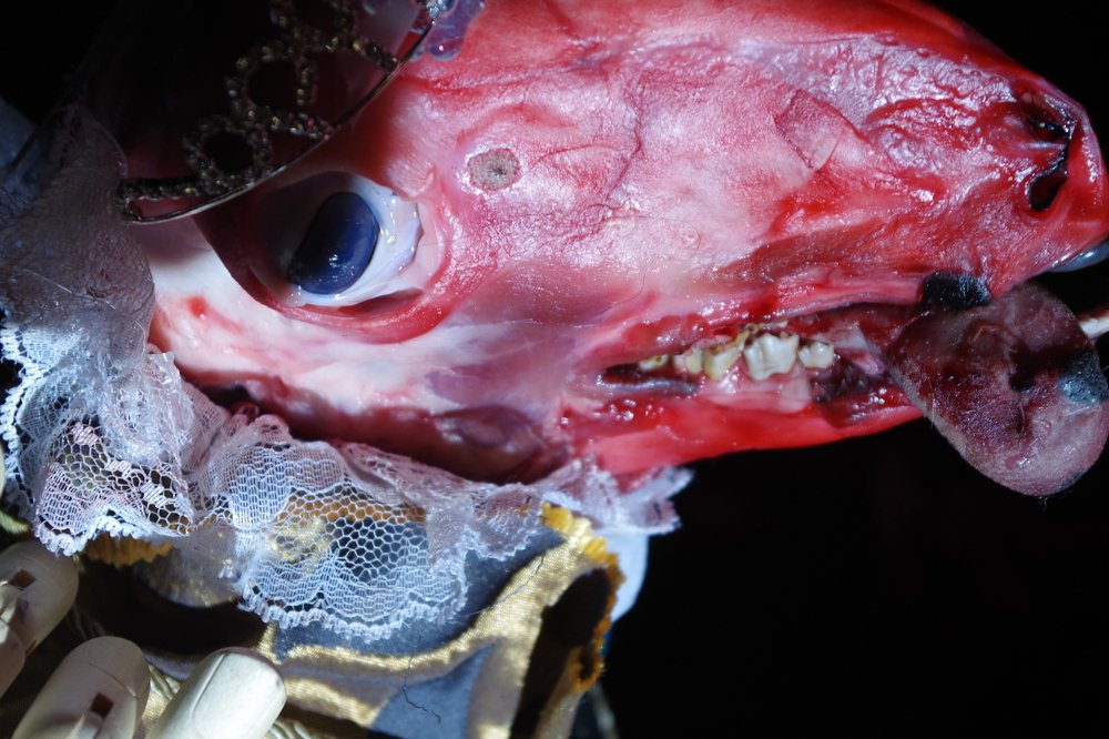 Death is a nice place