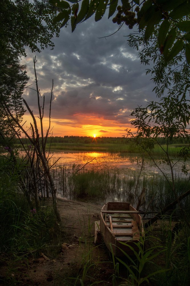 Плоскодонка