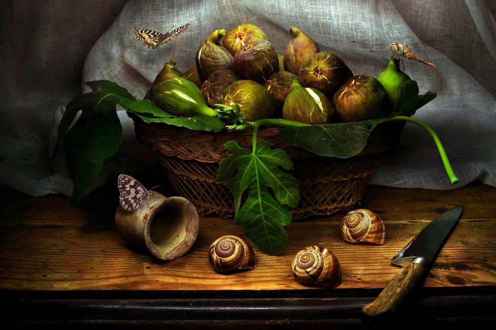 Still life With Figs and Snails