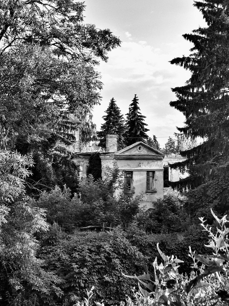 Photograph by Helen Seleznova