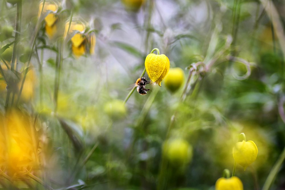 зажигающий фонари