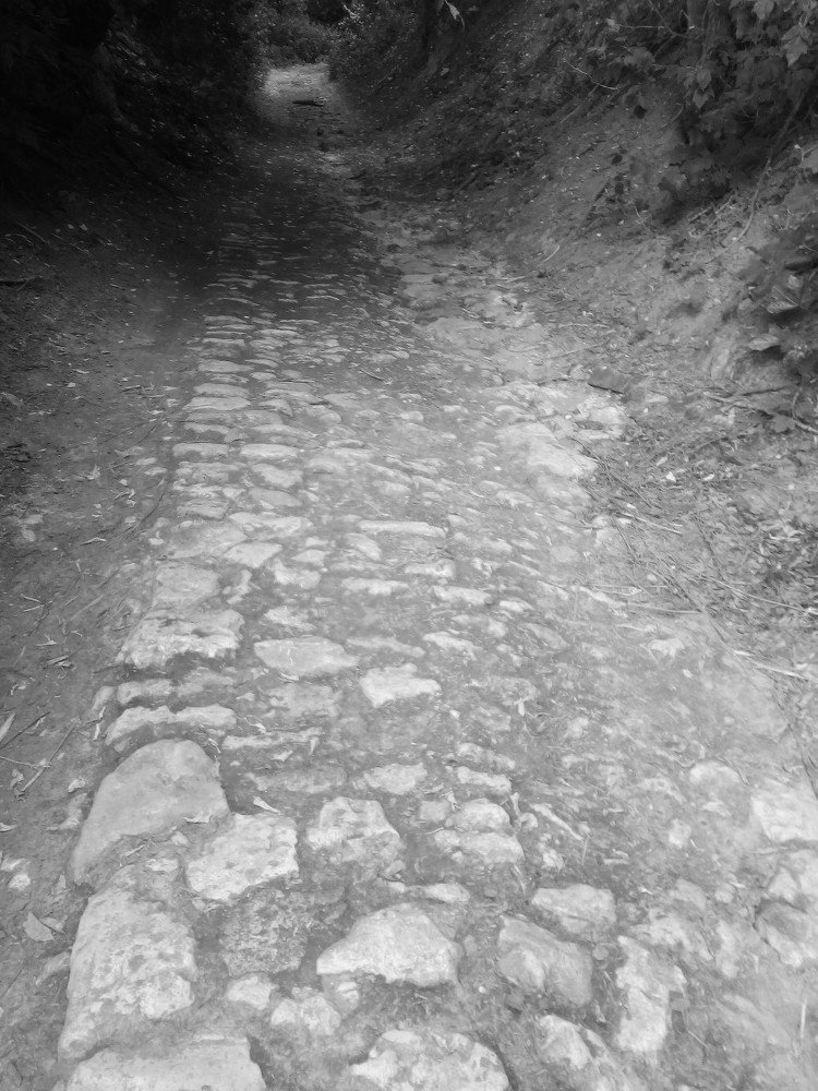 Старая дорога