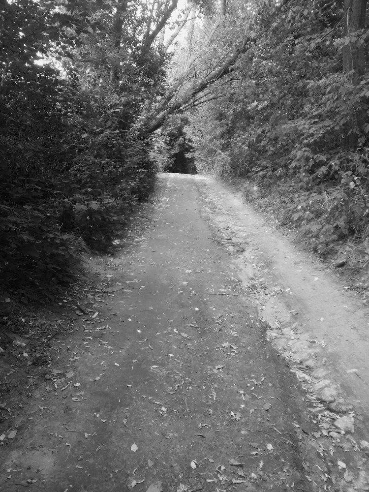 Старая мостовая