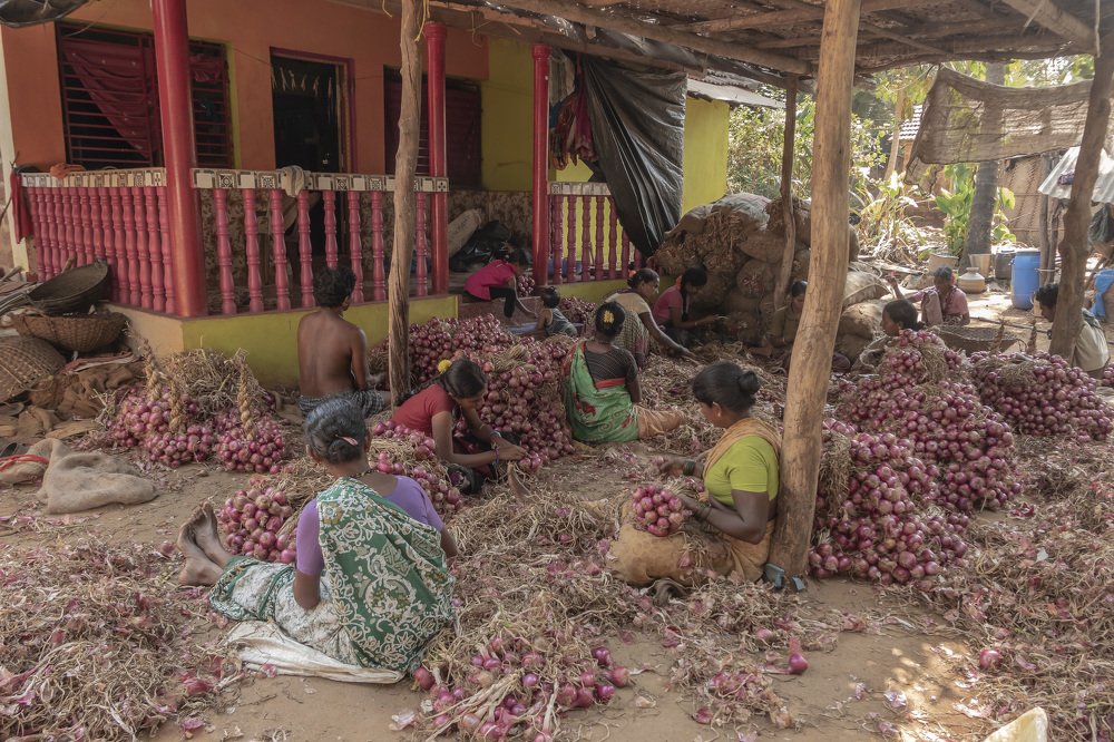 Whole family together