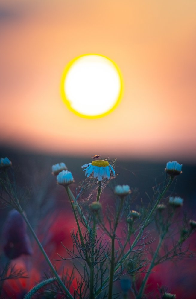 Photograph by Sergey Yakovlev