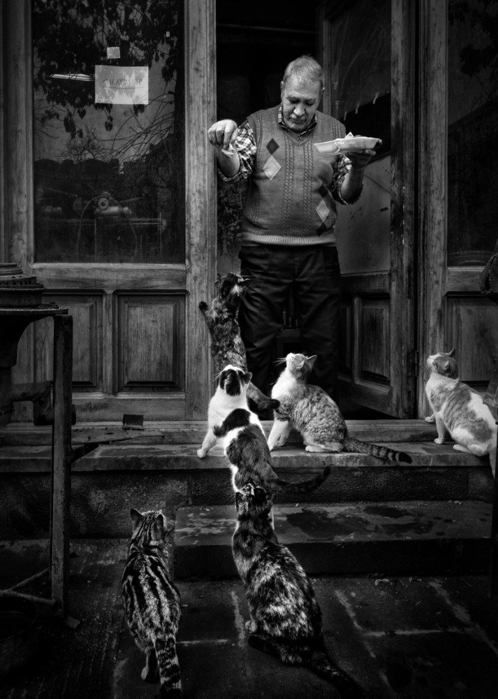 man and cats