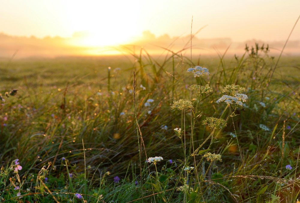 Утро нового дня...