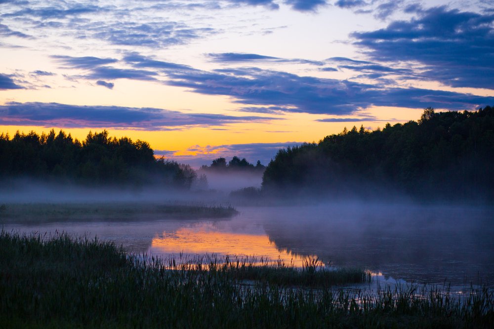 Photograph by Светлана Демина