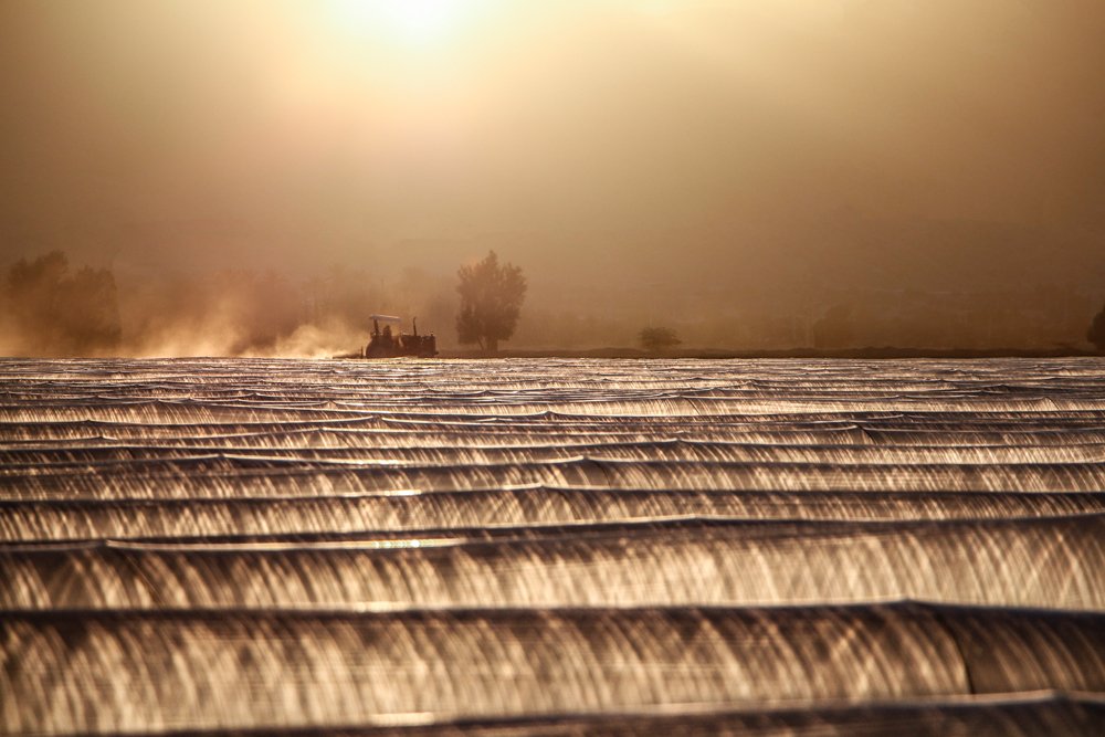Photograph by Afshin Khajeh