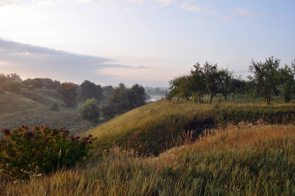 Купаясь в утренних лучах...