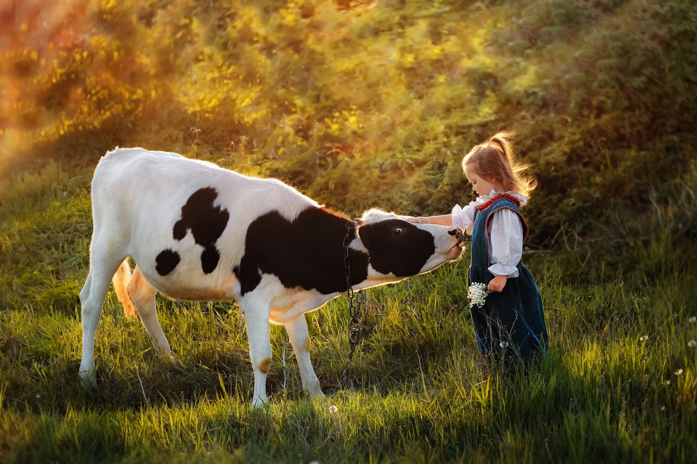 любовь с первого взгляда