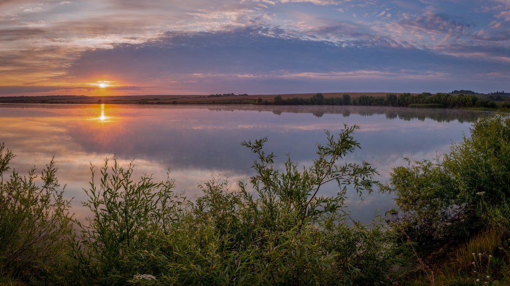 Рассвет на пруду