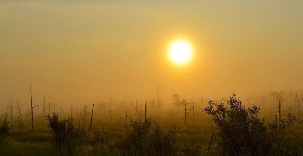 Каждый ОХОТНИК желает знать.