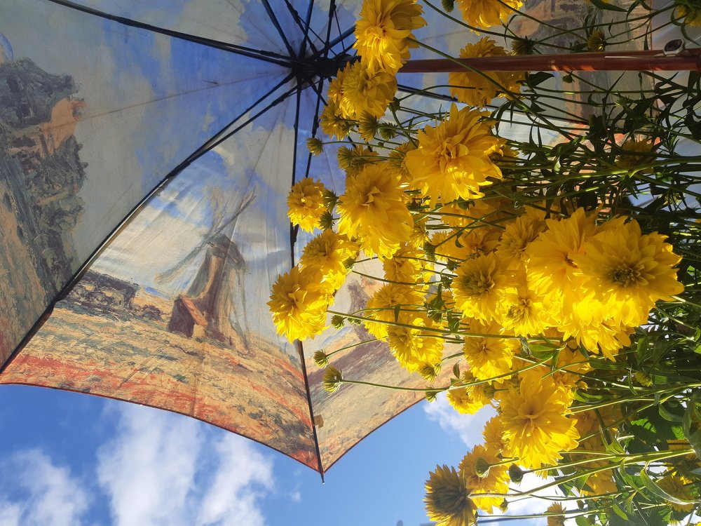 Местами дожди