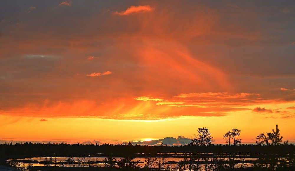 Если бы у меня была возможность сказать что-то самое важное каждому человеку на планете, я бы сказал: "Вам надо поехать на Восточно-Придорожное месторождение нефти и газа посмотреть закат солнца"