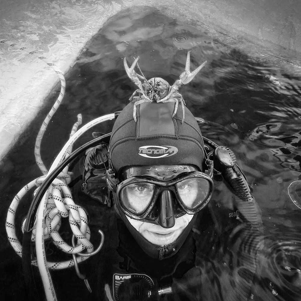 Где раки зимуют