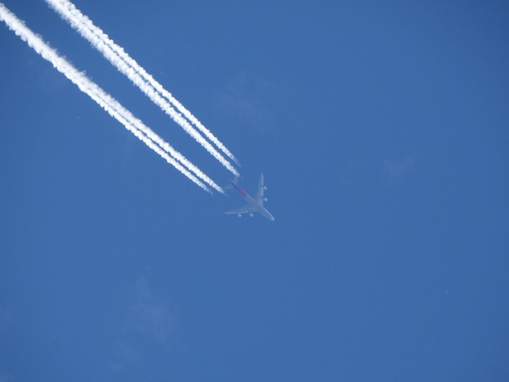 Воздушная птица