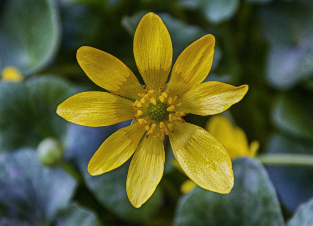 Photograph by Михаил Kolesnik