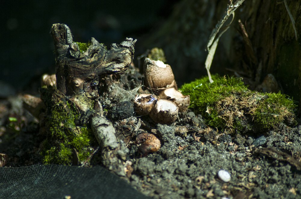 Photograph by Константин