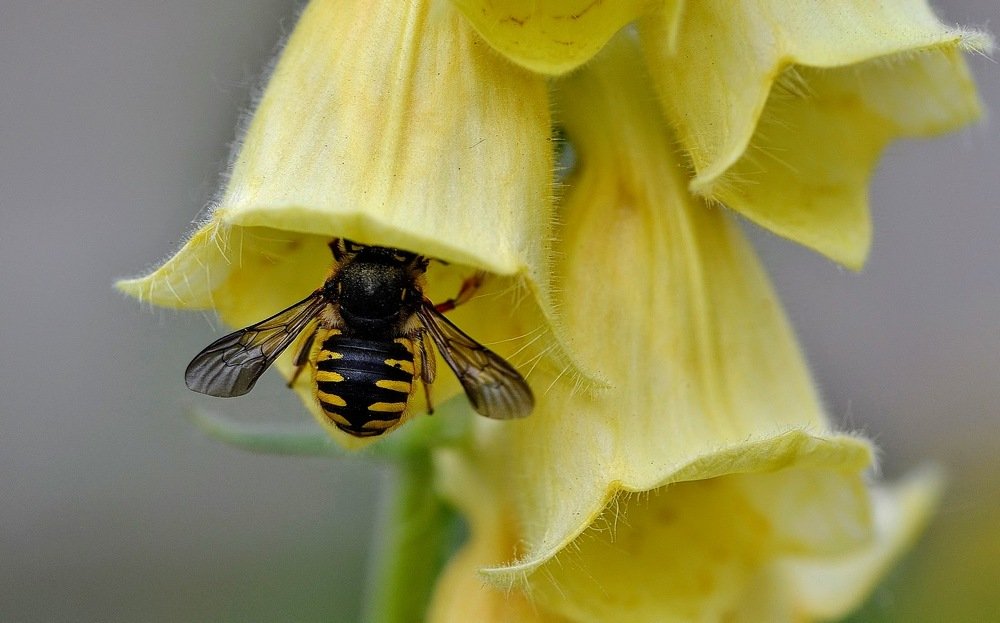 Photograph by Елена Боржковская