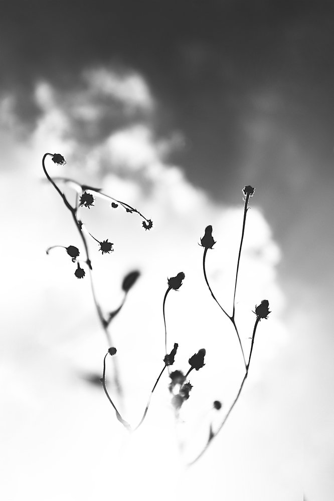 Photograph by Natalya Chumak