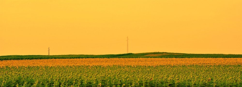 The center of the universe of minimalism