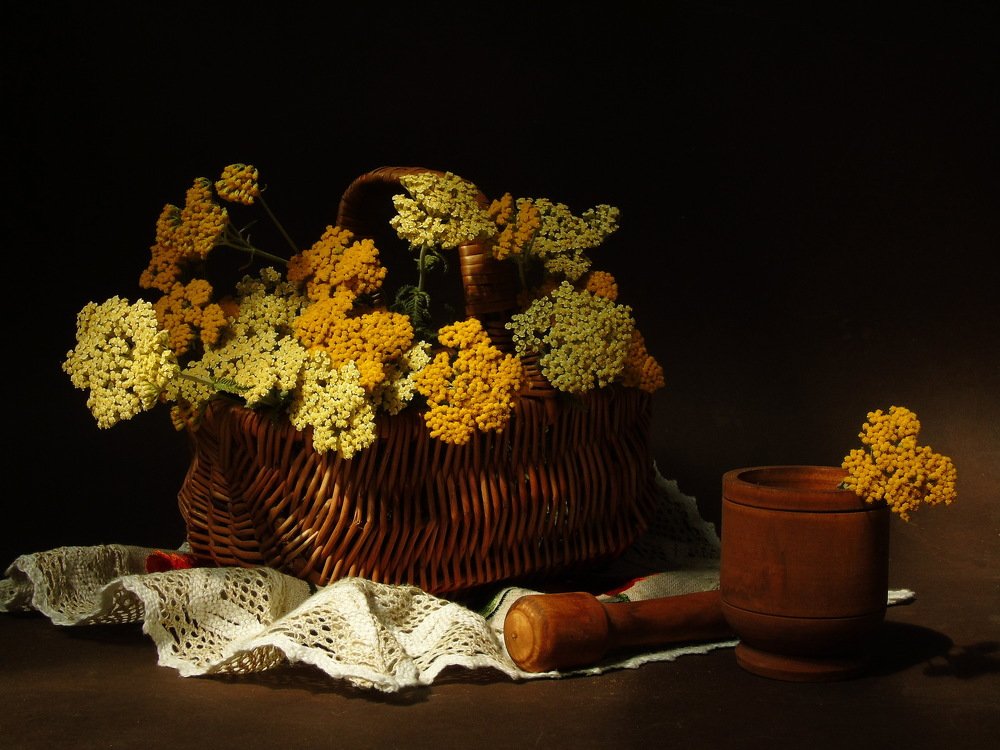 Пижма и тысячелистник