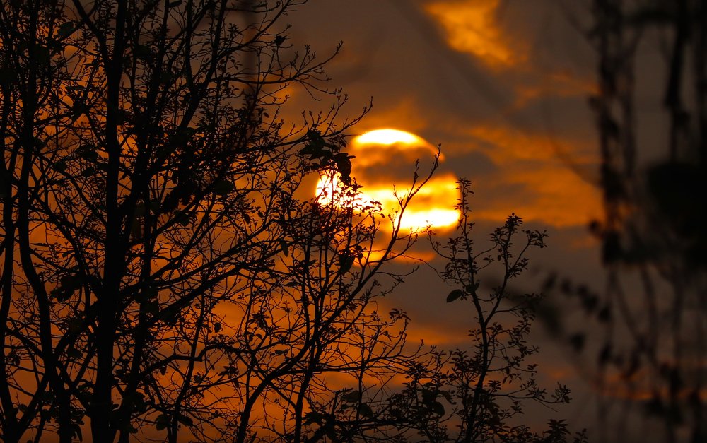 Behind The Nature Sunshine