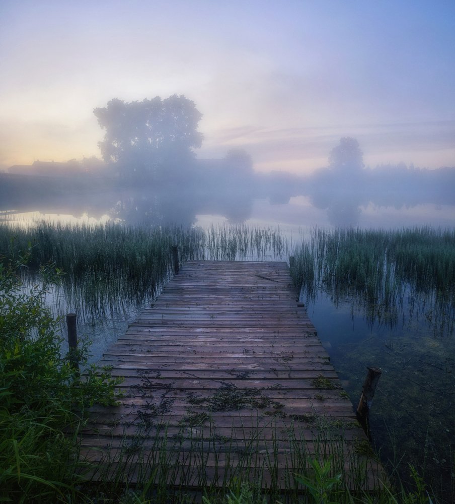 Photograph by Устюжанин Михаил