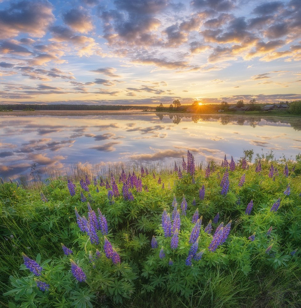 Photograph by Устюжанин Михаил