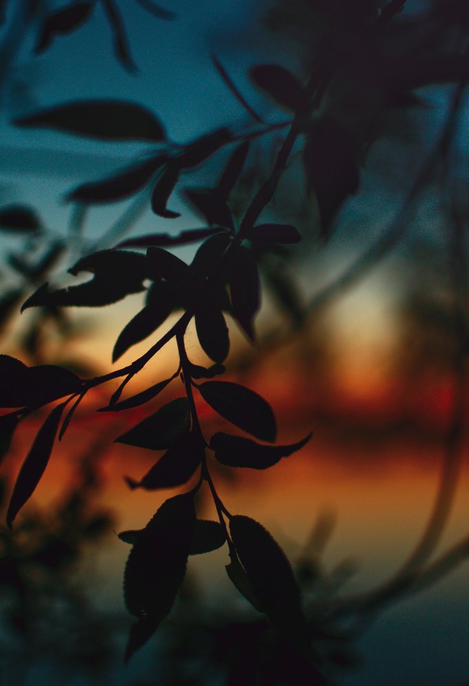 Видеть свет