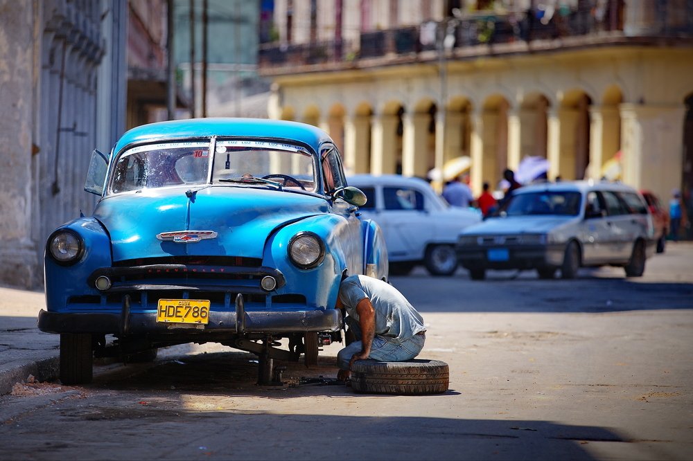 По уши в работе