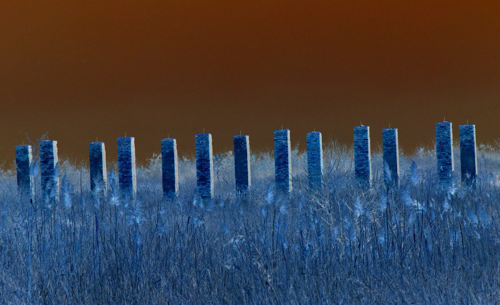 Right at noon on a blue day