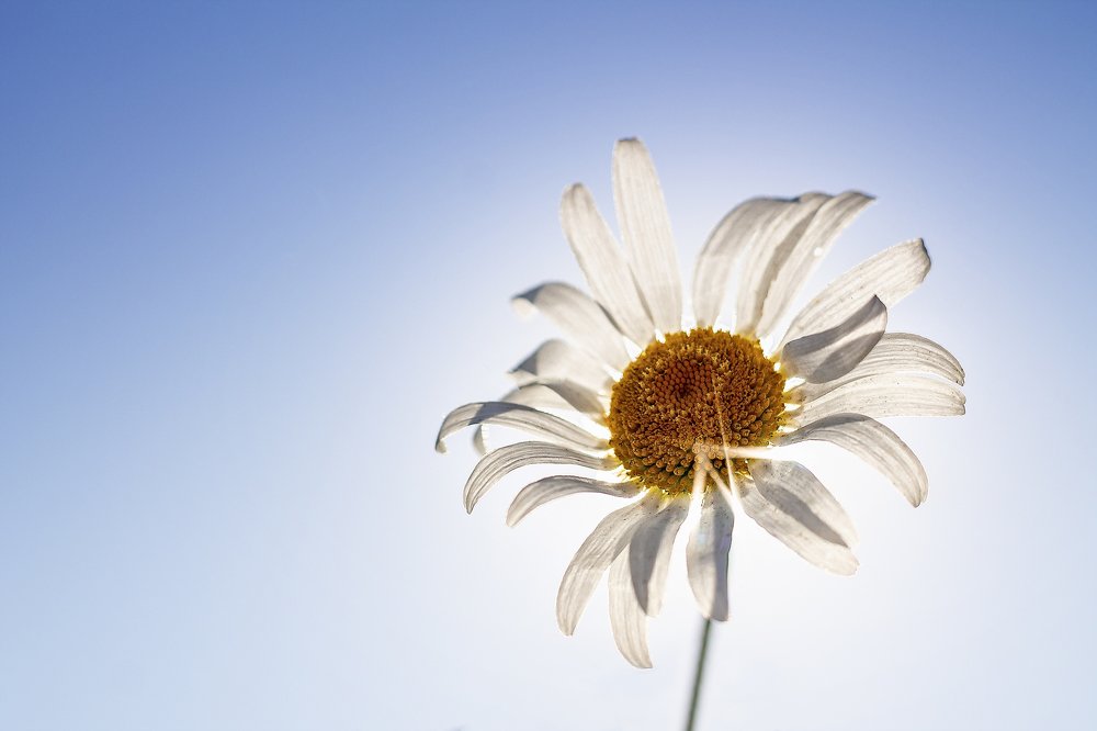 Солнышко на небе