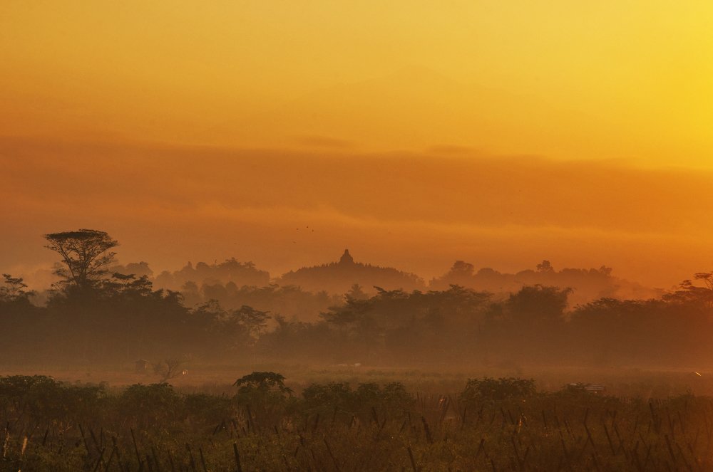 Morning day  Borobudur